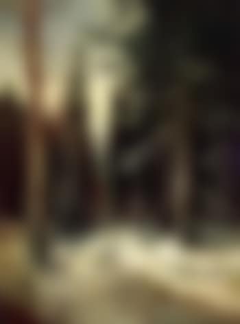 Path though forest (preview)