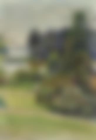 Summer sunshine (preview)