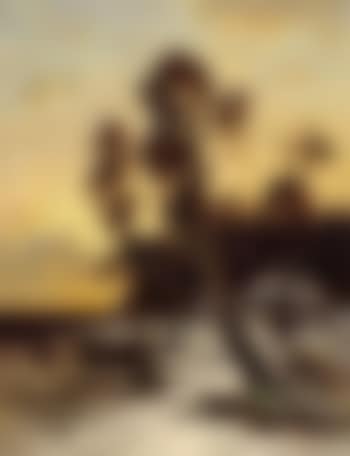 Sunset at snow-covered coast, outskirts of forest (preview)