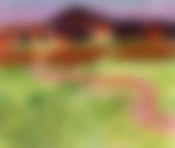 Summer meadows (preview)