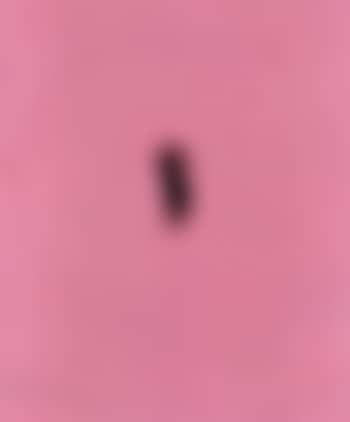 Concetto Spaziale (preview)
