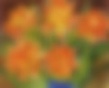 Beautiful flowers (preview)