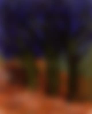 Large oak trees - winter (preview)