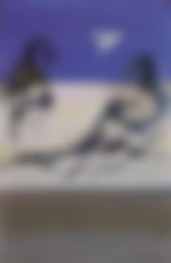 Cockatoo and dry hillside (preview)