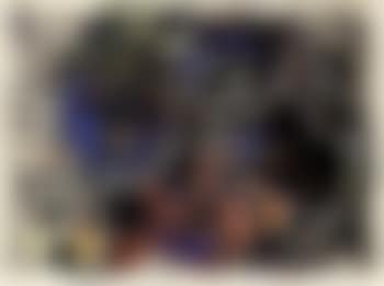 Catsville (preview)