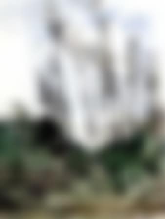 Study of trees (preview)