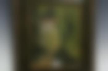 County Kerry (preview)