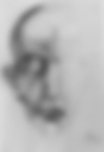 Man's head (preview)