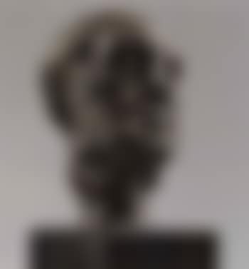 Le petit homme au nez casse (preview)