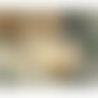 Femme nue endormie (preview)