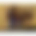 Navvies shoving freight car (preview)