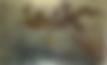 Biches (preview)