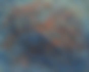 Composition (preview)