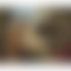 Susanna and the elders (preview)