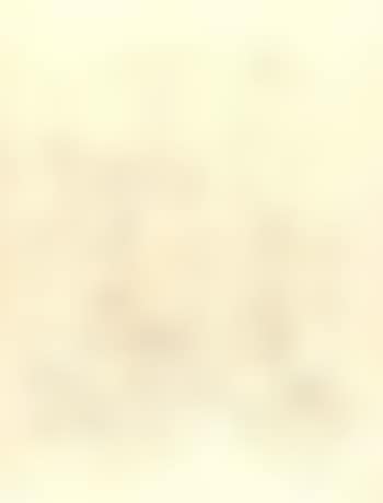 Study for civil war (preview)