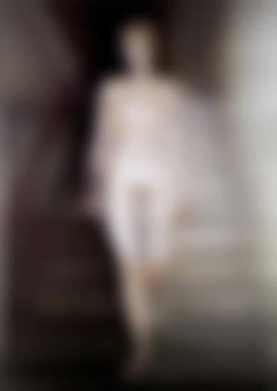 Ema, nude descending a staircase (preview)