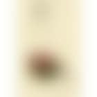 Semi-nude with coloured skirt (preview)