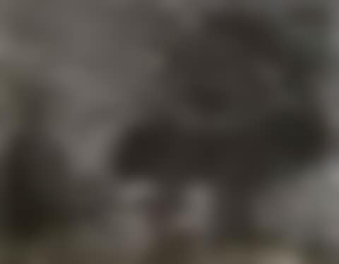 International landscape (preview)