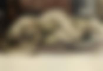 Reclining female nude (preview)