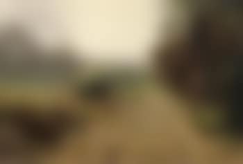 Vroege morgen - View from artist's atelier, Laren (preview)
