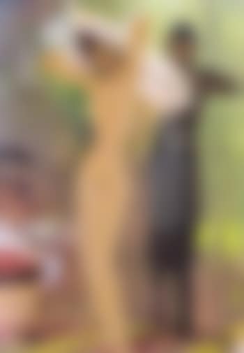 La cameriste (preview)