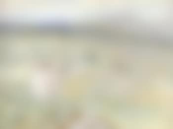 View across Taken (preview)