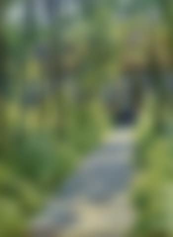 Summer - the artist's wife walking in their garden at Skagen (preview)