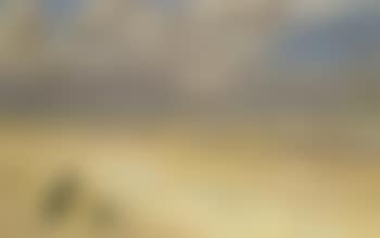 Girl with dog on Skagen Strand (preview)