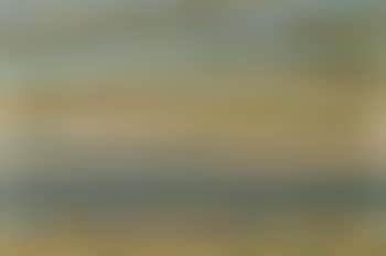 Summer evening at Skagen Strand (preview)