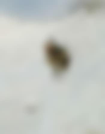 Hunter in snowy landscape (preview)