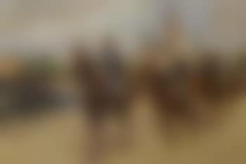 Study for Rosenborg's drill - soldiers and horses 4th June 1912 (preview)