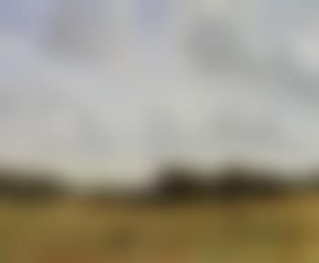 Landscape with cloudy sky (preview)