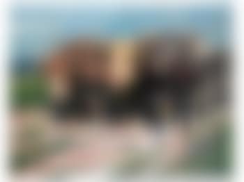 Ox cart (preview)