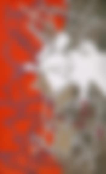 Big net (preview)
