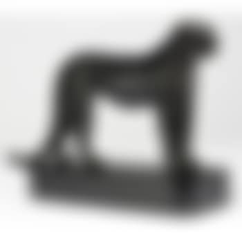 Grand leopard (preview)