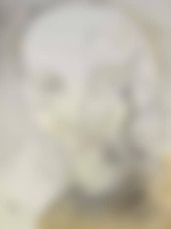 Clown mou en quatre visages (preview)