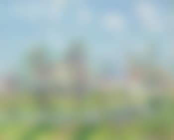 Verger en fleurs, printemps (preview)
