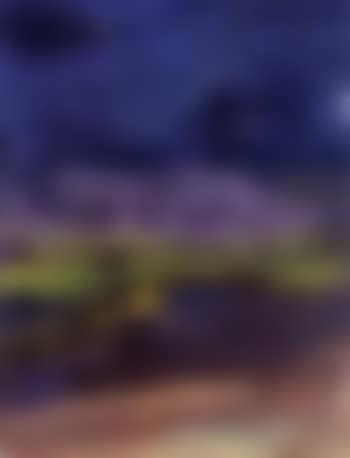 Evening landscape (preview)