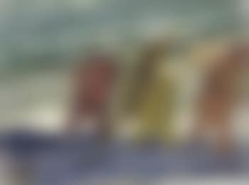 Wanderers by the sea (preview)
