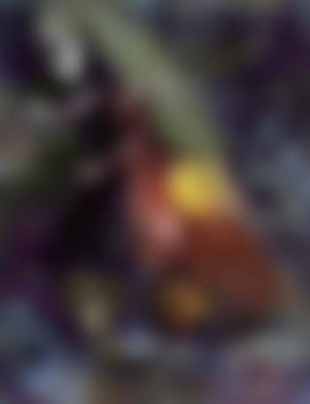 La femme cheval (preview)
