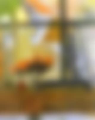 Studio window (preview)