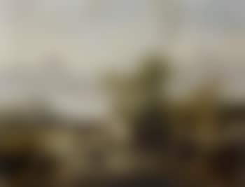 Cattle with herder drinking from stream (preview)
