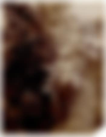 Fig tree (preview)
