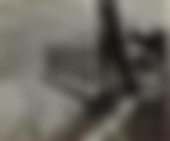Near Pont de Grenelle (preview)