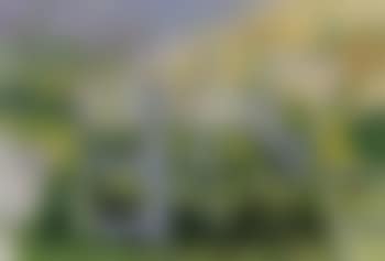 Garden (preview)