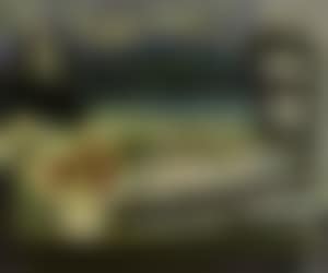 Nature morte au pont suspenda (preview)