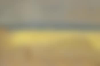 Summer landscape, Skagen Strand, beached boats and figures (preview)
