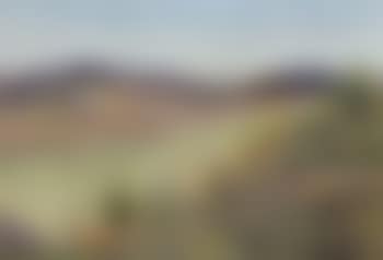 Summer landscape with flowers, Denmark (preview)