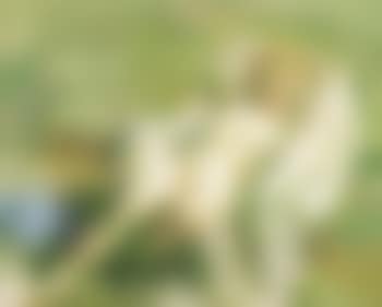 Portrait of female nude relaxing (preview)