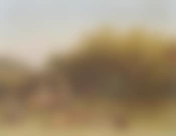 Deer resting in a landscape (preview)